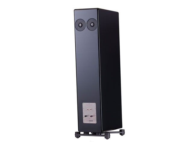 Boxe de podea Ascendo Systems Coax D9 - imagine 5