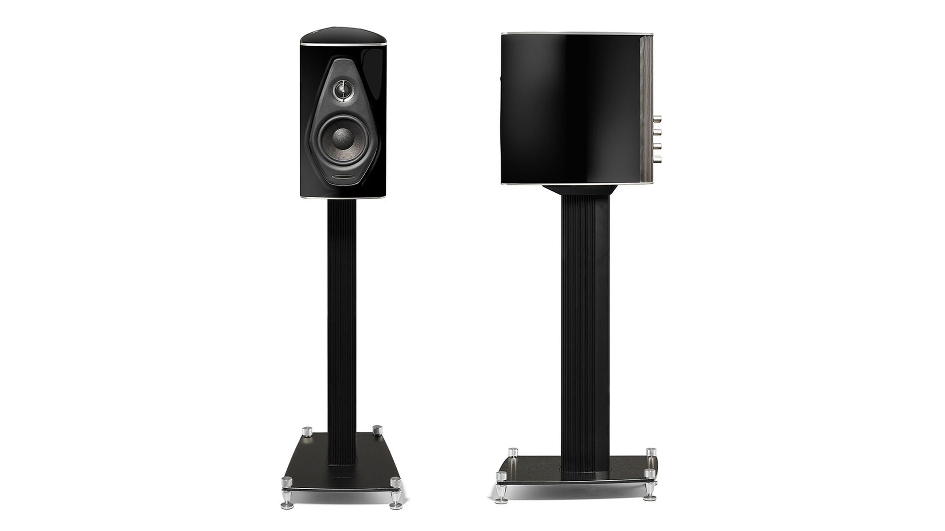 Boxe de raft Sonus Faber Olympica Nova I