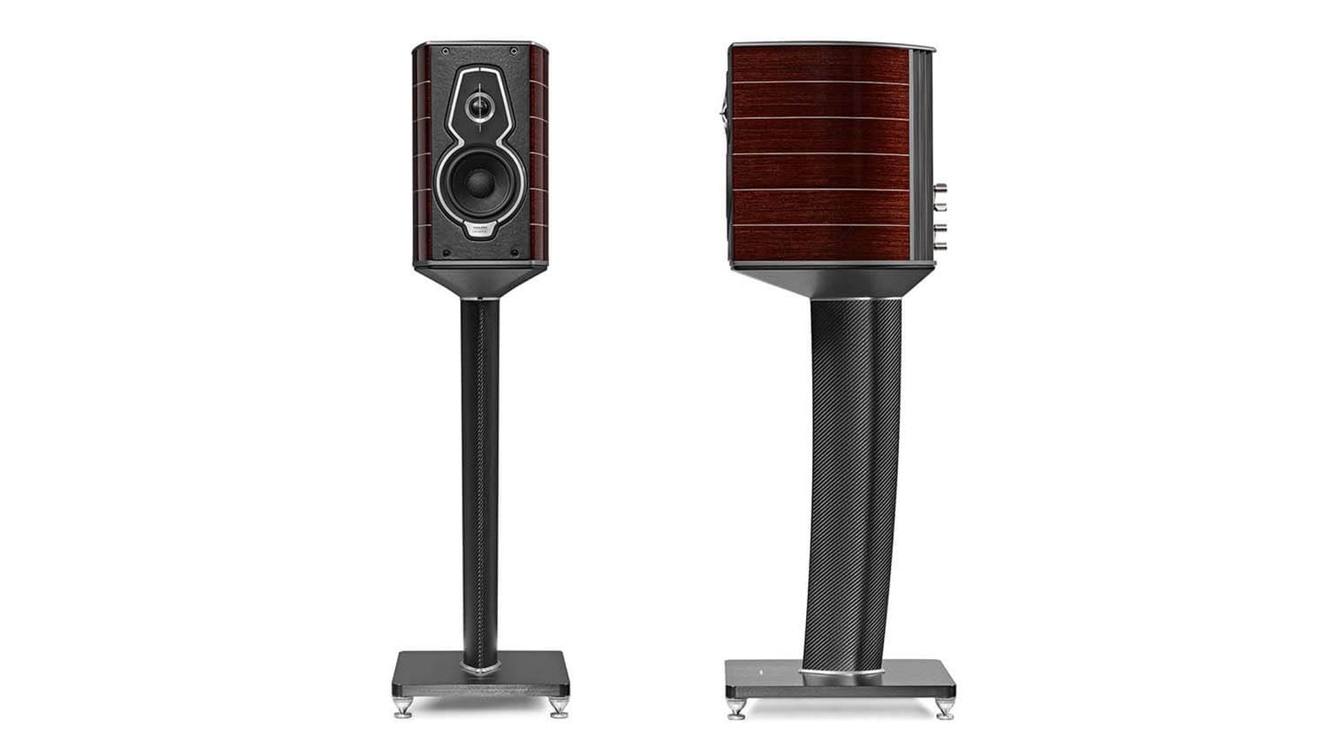 Boxe de raft Sonus Faber Guarneri G5