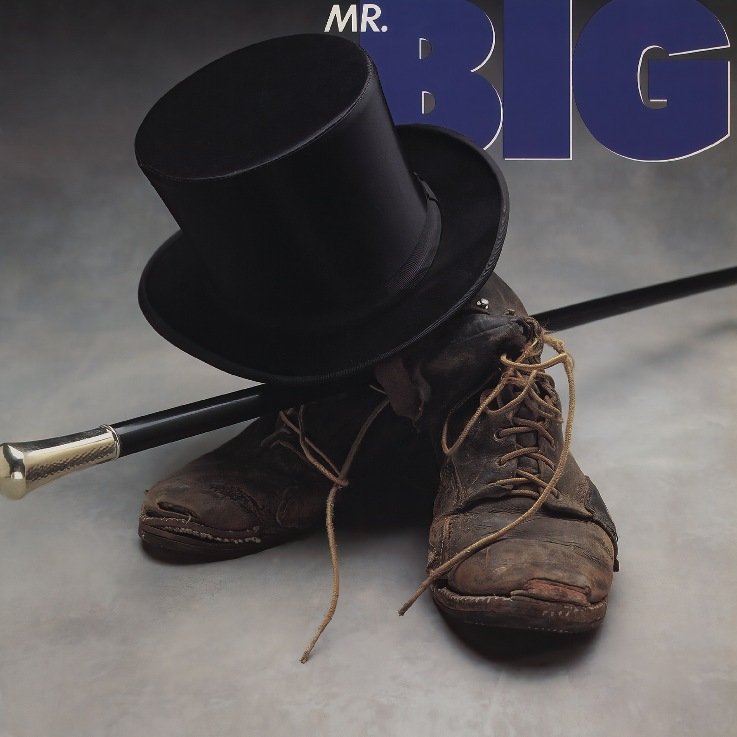 Mr. Big - Mr. Big [One Step] (Vinil 180g, LP)